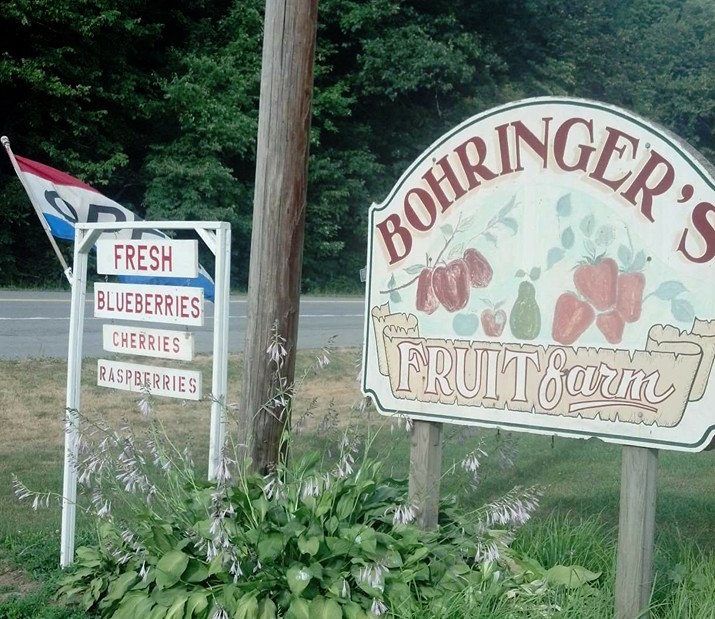 Bohringer's Fruit Farm