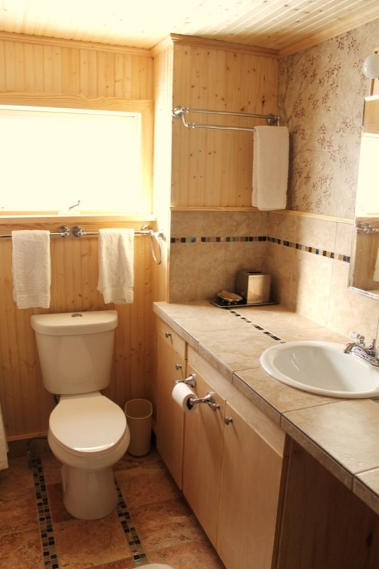 Lower Level Bathroom